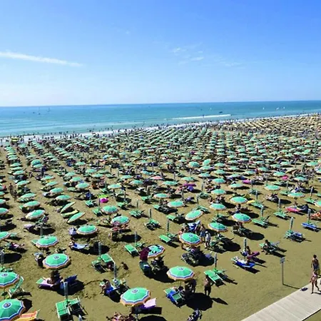 Apartment Enjoy Our In The Area In